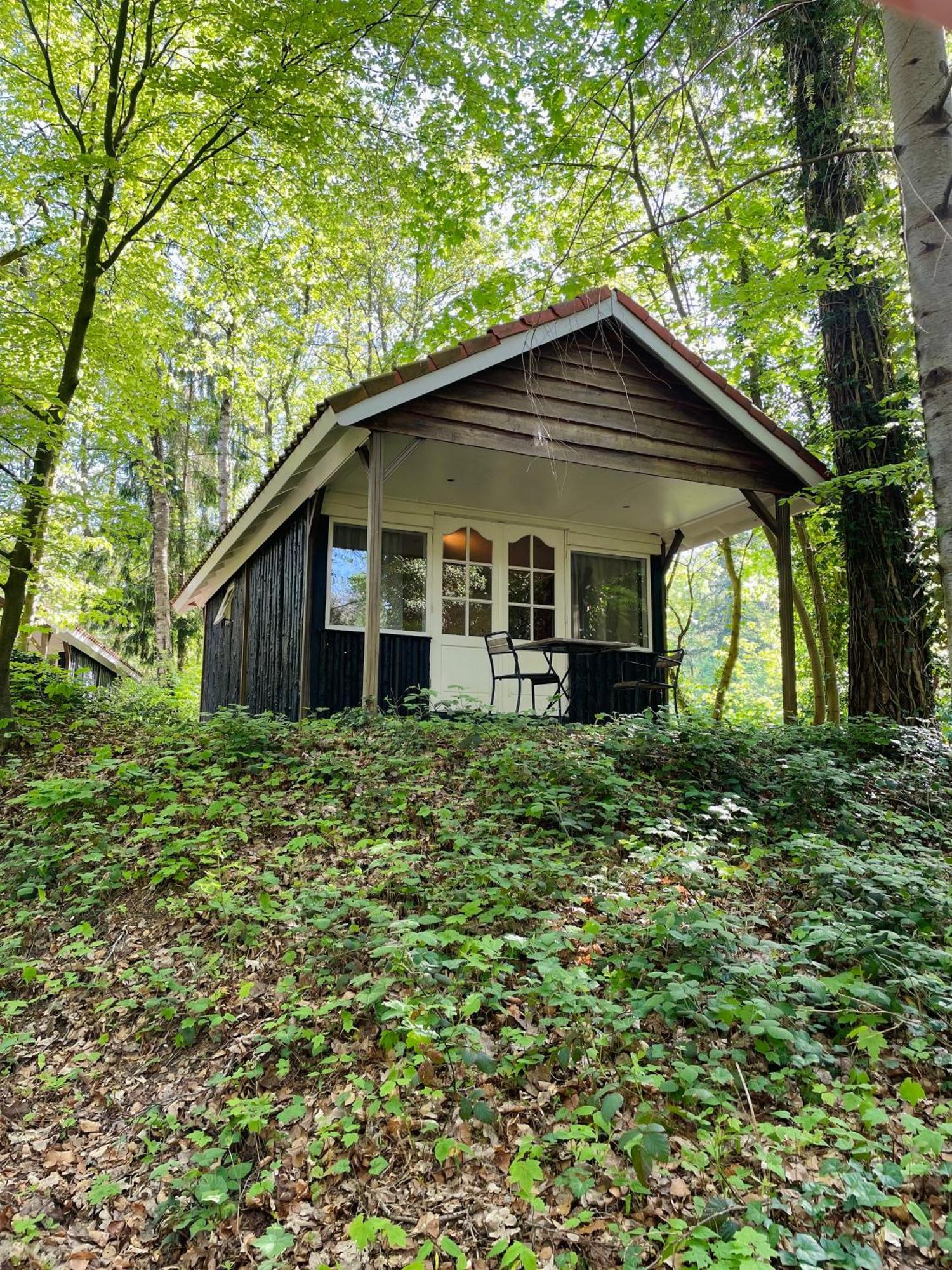 Landgoedhotel Villa Vennendal Nunspeet Zewnętrze zdjęcie